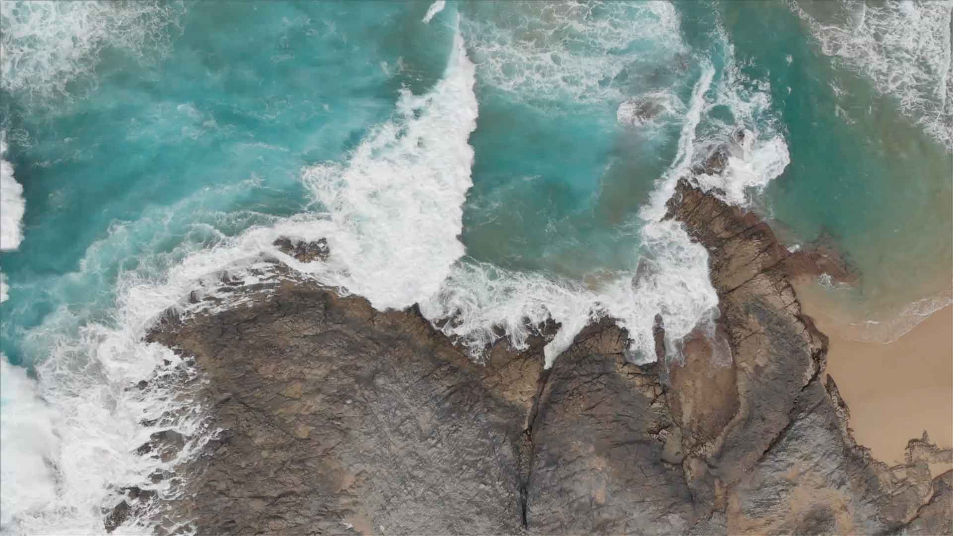 videocover.jpg